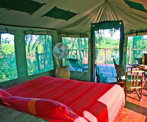 Selous-Impala-Camp-2