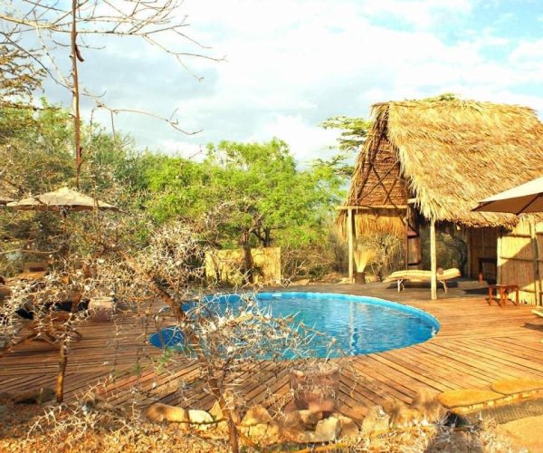 Selous-Impala-Camp-4