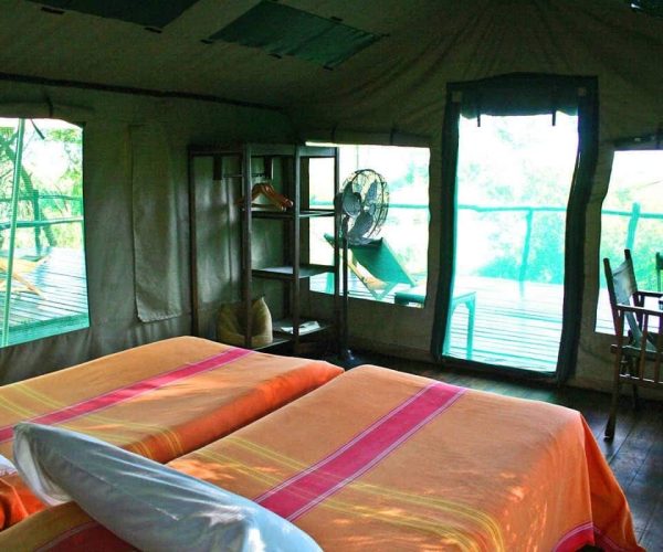 Selous-Impala-Camp-5