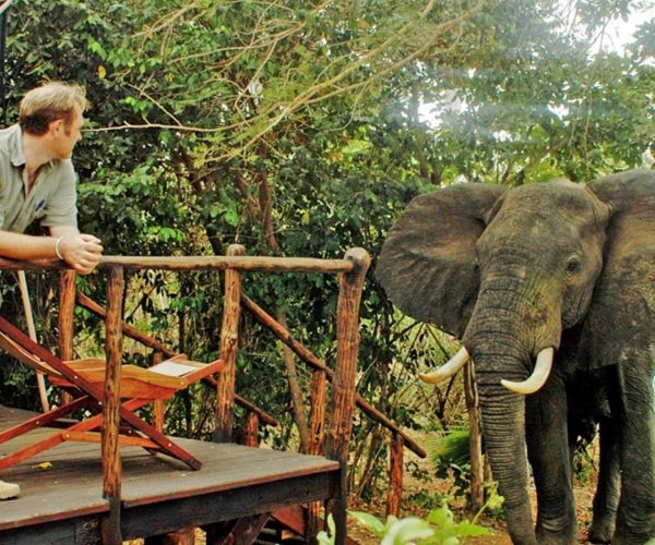 Selous-Impala-Camp-7