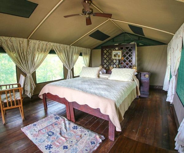 Selous-Impala-Camp-8