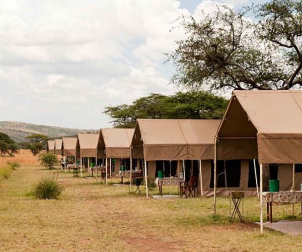 Serengeti-Kati-kati-Tented-2-qqnztuis12d9vcfeye03twfkwkkr1gjtpww9nu2ef0 (1)