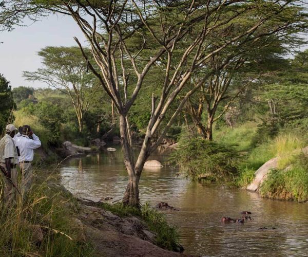 Serengeti-Migration-Camp-2