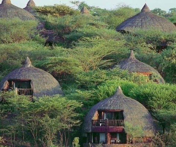 Serengeti-Serena-Safari-Lodge-1