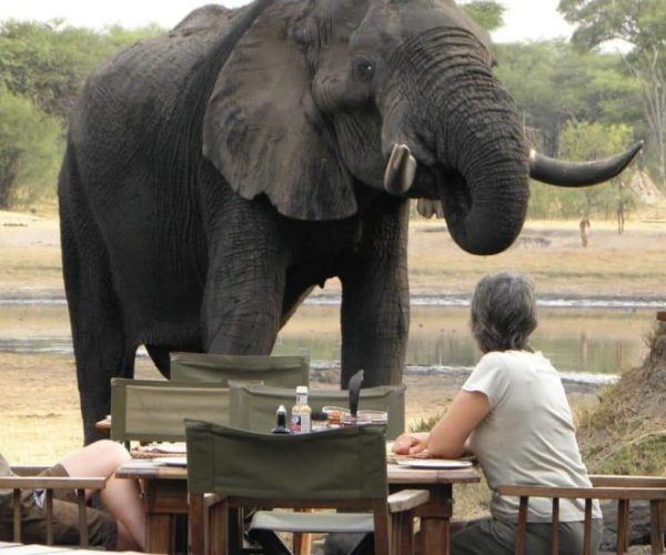 THE-HIDE-2-qqo09vnolcbbvx53cbh1cusln5k4bm70l9gebqaoak