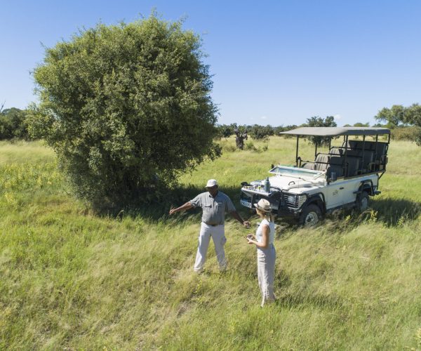 THE JUNGLE SAFARI (12)
