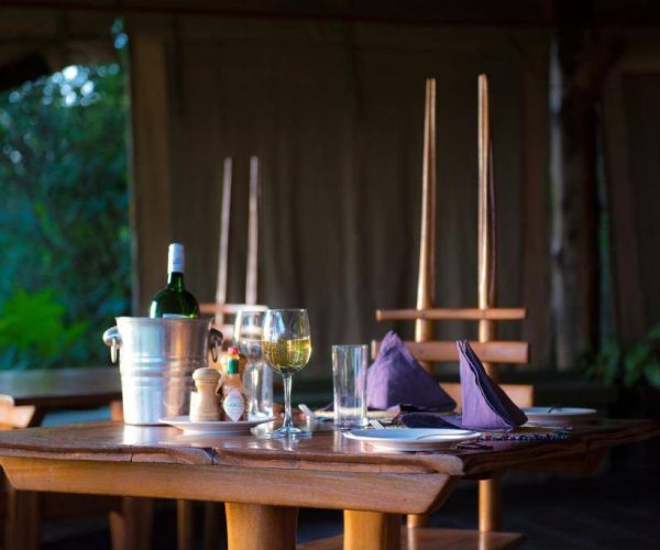 TIPILIKWANI-MARA-CAMP-5