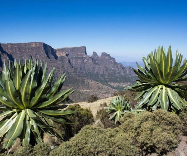 TREKKING-P.N-SEMIEN-9-qqo0a1apqcj1tkwwfdwsrtdd7gsblstem1db7e2b98