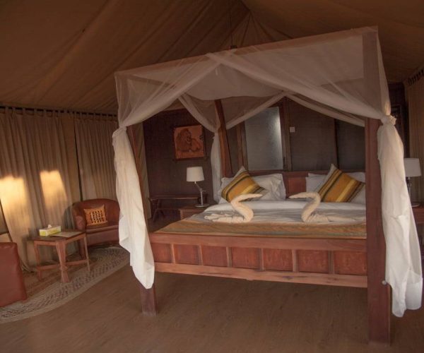 Tarangire-Simba-Lodge-6