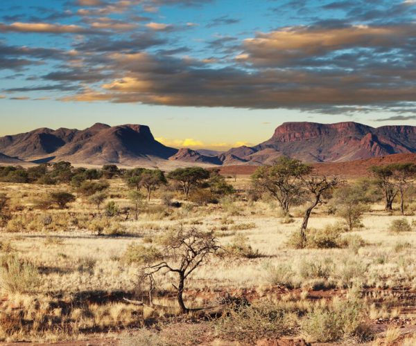 African landscape, Kalahari Desert, Namibia