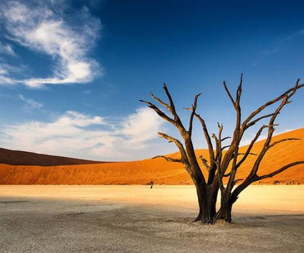 Terres de Contrastes Du Namib aux Rives du Chobe (13)