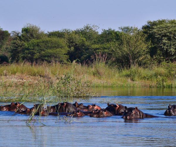 Terres de Contrastes Du Namib aux Rives du Chobe (14)