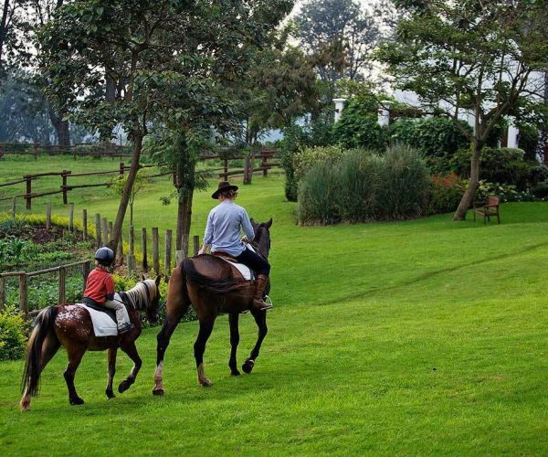 The-Manor-at-Ngorongoro-4
