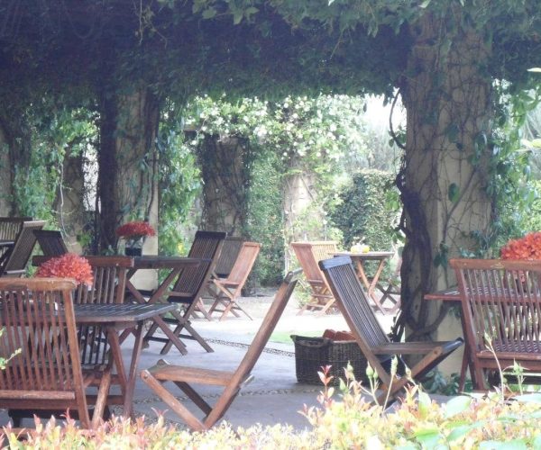 The-Thorntree-Country-House-3