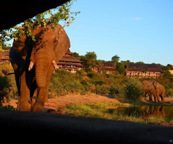 VICTORIA-FALLS-SAFARI-LODGE-8