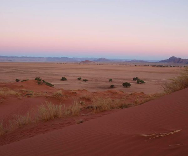 VISIONS AUSTRALES (1)