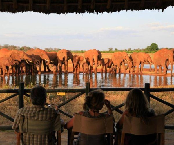 VOI-WILDLIFE-LODGE-1