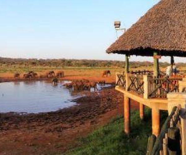 VOI-WILDLIFE-LODGE-10