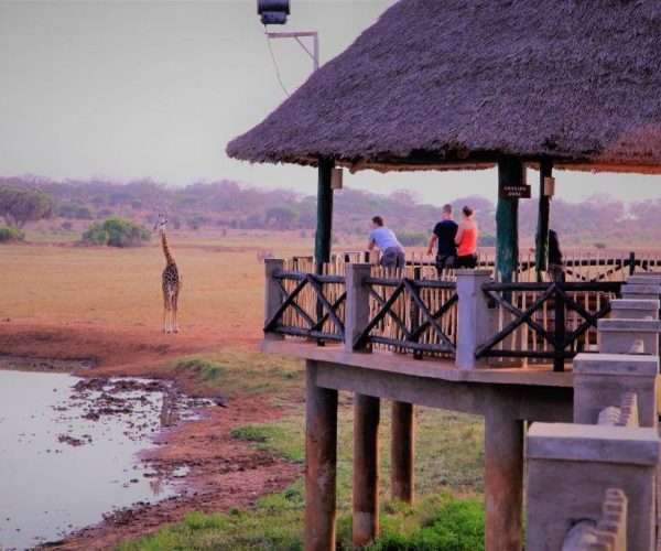 VOI-WILDLIFE-LODGE-11