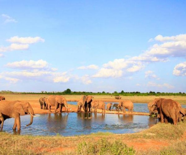 VOI-WILDLIFE-LODGE-7