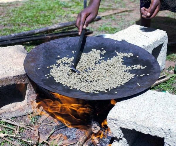 Visite-de-plantation-de-cafe-3