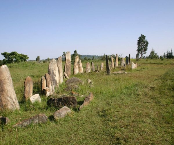 Visite-guidee-de-Tiya-et-Adadi-Mariam