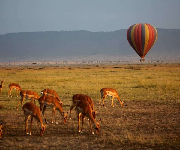 Vol-en-montgolfiere-1-1