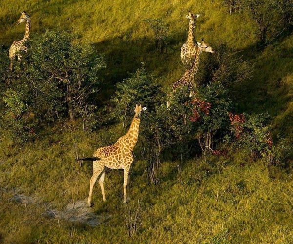 Vol-en-montgolfiere-10