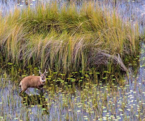 Vol-en-montgolfiere-5