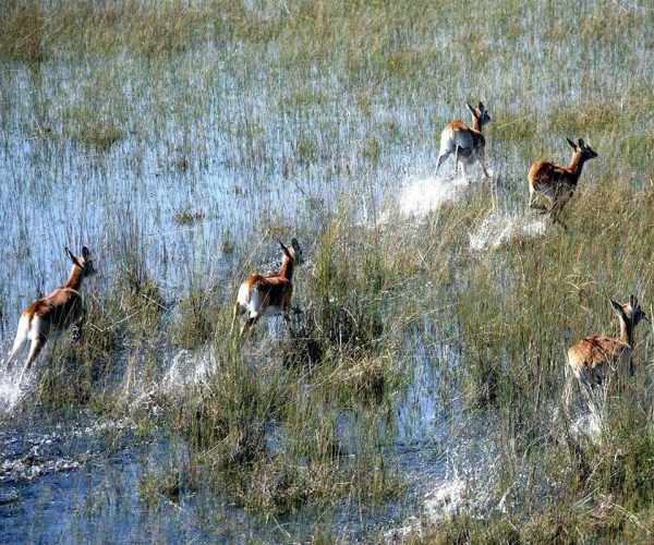 Vol-en-montgolfiere-6