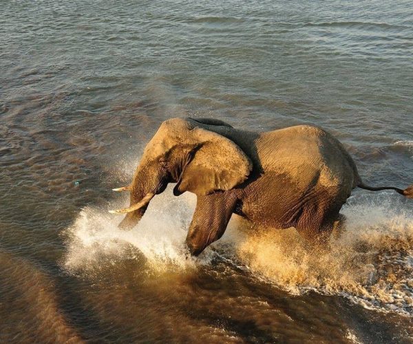 Vol-en-montgolfiere-7