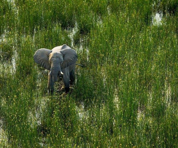 Vol-en-montgolfiere-8