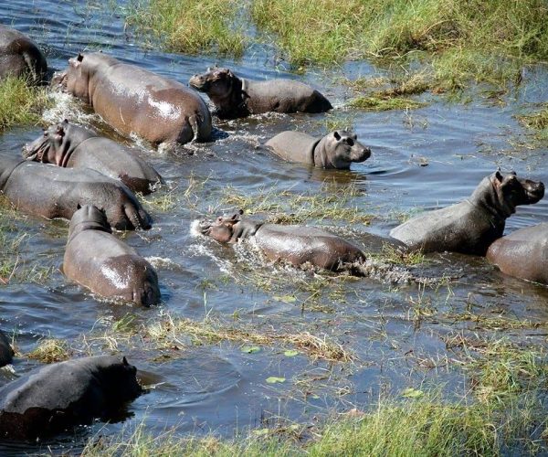 Vol-en-montgolfiere-9