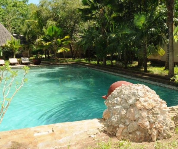 ZEBRA-SAFARI-2-qqnzw1h7z5dcyl8q5c4rnciasxrl019a0rp1z2tbwc