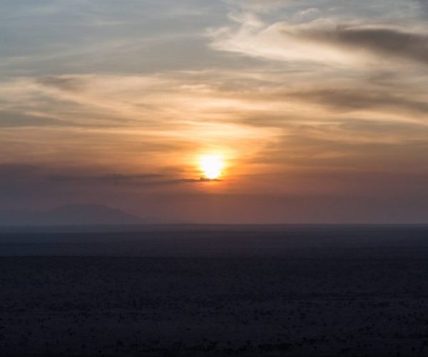 ZEBRA-SAFARI-7-qqnzw66exbjskn1wdw5whtblrv4f2irxpeyhdgmd18