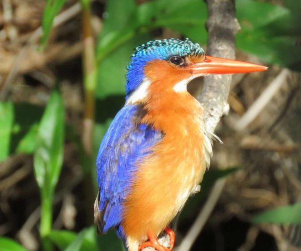 afs-route-3-scaled-1-qqnzx5wa50wottm0lblq4kb4ci8d70pqibqxlz5egs