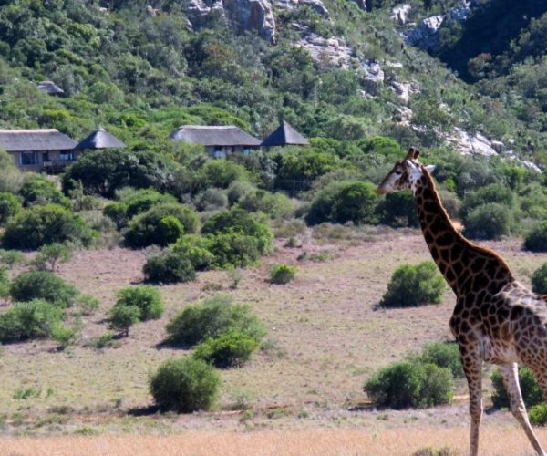 afs-route-4-scaled-1-qqnzx6u4buxz5fknfu0cp22kxw3qeptgugef3940ak