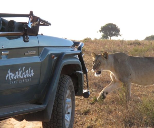 afs-route-5-scaled-1-qqnzx7ryioz9h1jaacez9ju1j9z3mex76l1wkj2m4c