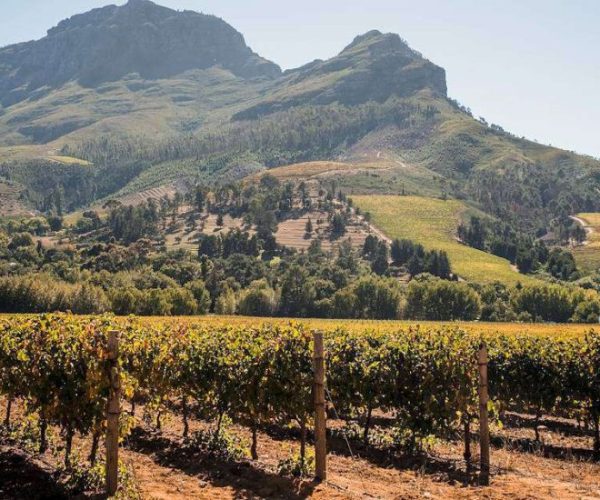 afs-route-9-qqnzx9nmwd1u49gjzd88ejcyq1pu1t4nuucvj2ztrw