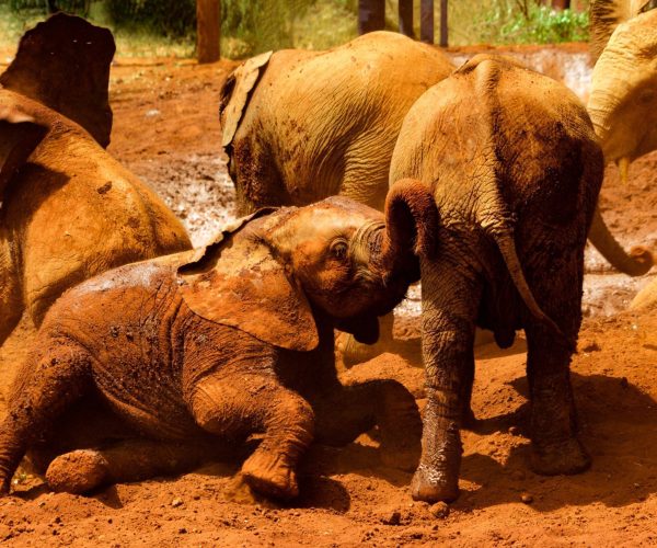 alex-mercado-9JQ3gqFNvPc-unsplash-scaled