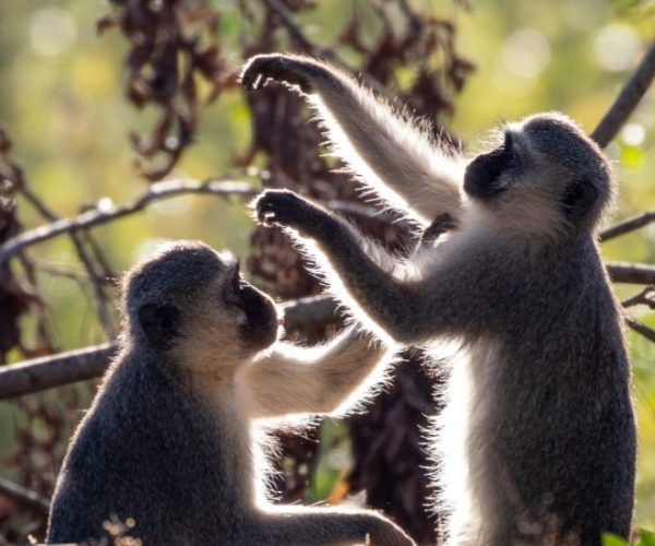 andrew-liu-tHEr4iqoWBQ-unsplash-scaled-qqnzxg8i87audj6zwy2mdzp6vqtejous7qx9w0q2kc