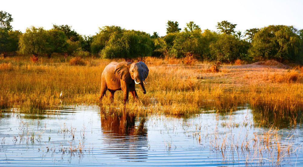 arpit-rastogi-JCFpOA5gnRA-unsplash