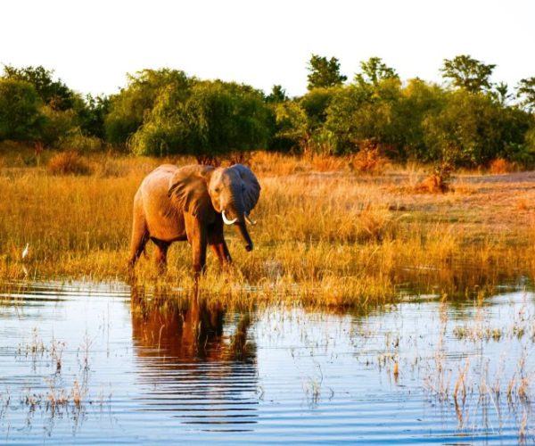 arpit-rastogi-JCFpOA5gnRA-unsplash-scaled-qqnzxmtdk1jumsxfuix0dg1f1fwz1kkwknho8ygbcs