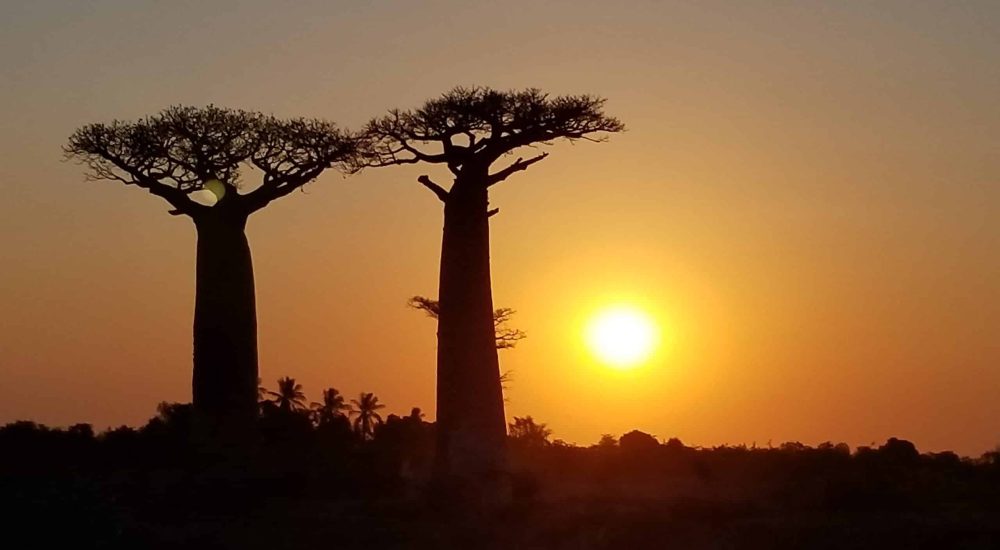 arson-haja-ACHUpG7G2Es-unsplash