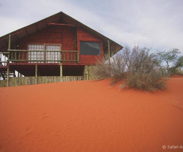 bagatelle kalahari game lodge (4)