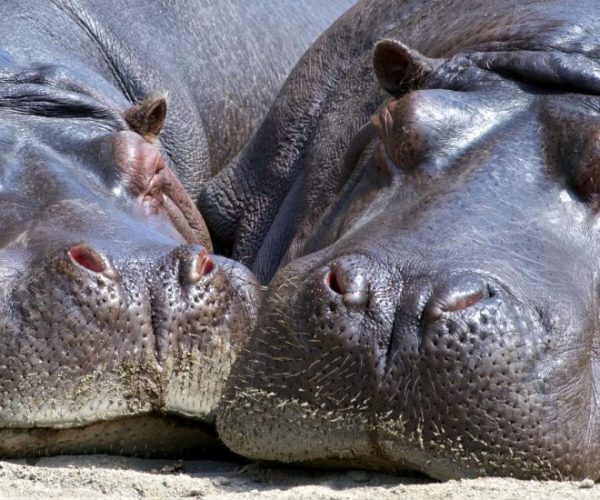 banner-Banner-2-1530609163579-1-qqnzxnr7qvl4yew2p1bmxxsvmtsc99omws55q8ex6k