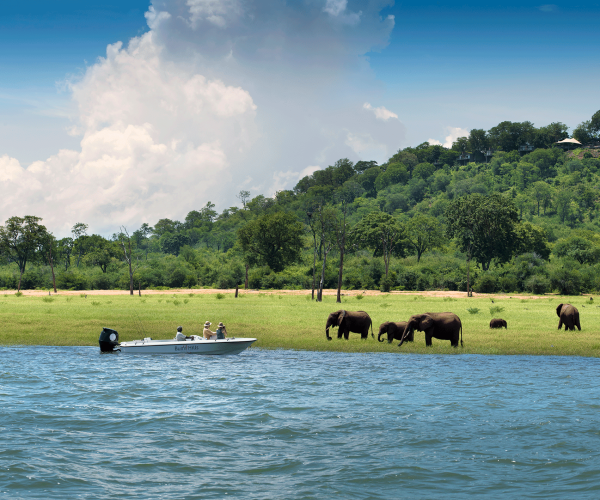 bumi hills safari lodge (1)