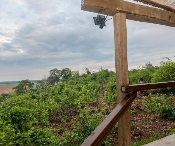 chobe-elephant-camp-1