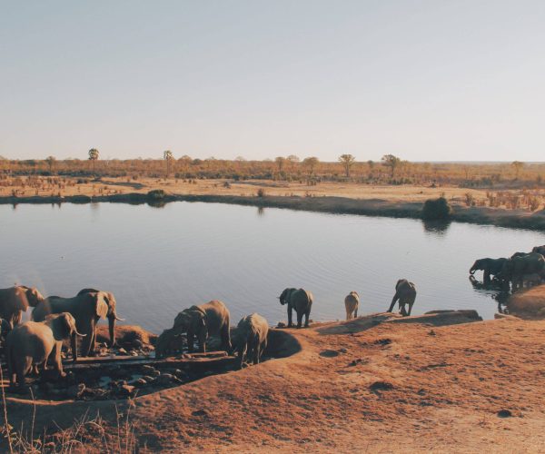 christine-donaldson-I7KBqnjN9xM-unsplash-scaled