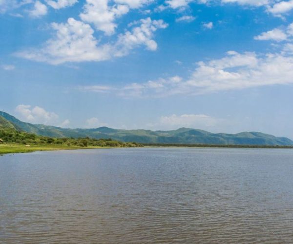 chui-safari-15-qqnzyr8fpx36i1aqaidyunu8l0dr8k1d27jjvusdx8